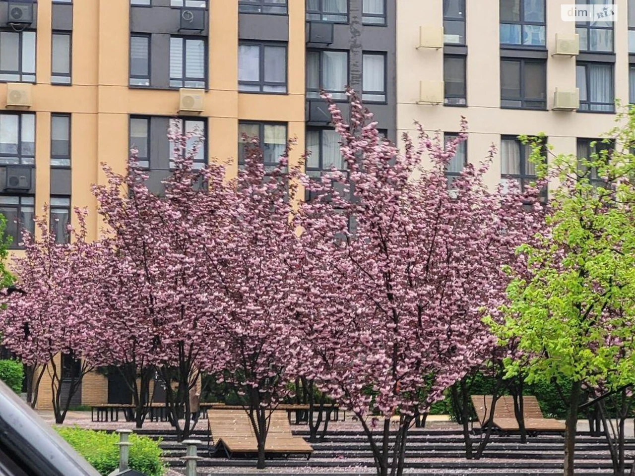 Long-Term Rental Apartment in Nivki