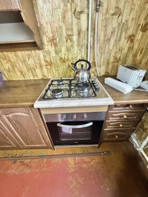 For Sale 2-room apartment with Forest View, 8th of 10 floors, Kam'yantske Left Bank