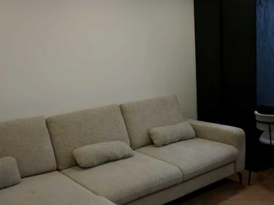 Apartment. Volodymyr Hrechko Street, Lviv