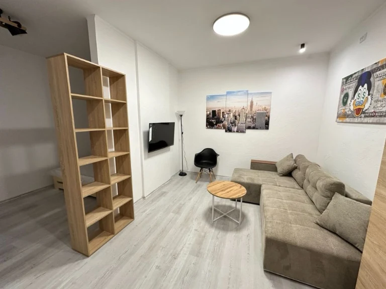 Apartment in the center