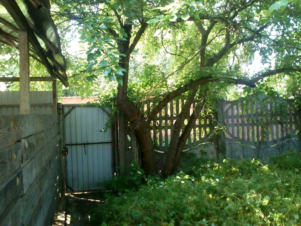 House. 80 Sadova St, Kyiv