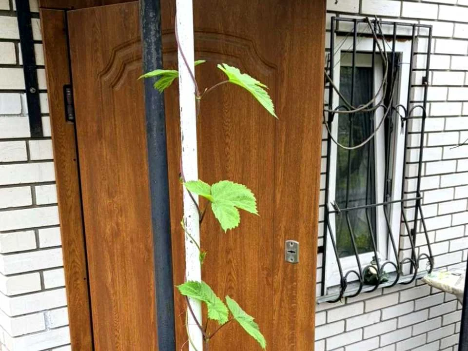 Дом. Киев, 20-я Садовая улица
