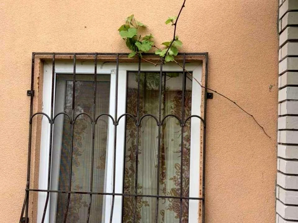 Дом. Киев, 20-я Садовая улица