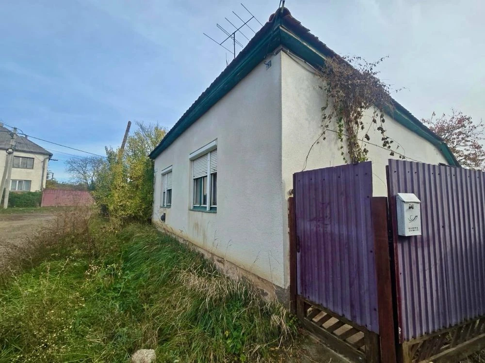 Продаж будинку в м.Берегове , 85 кв.м. Ділянкою 5 сот.