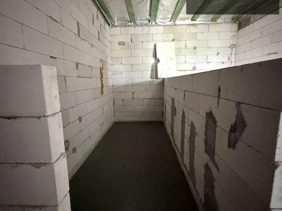 Будинок. Ужгород, Растительный