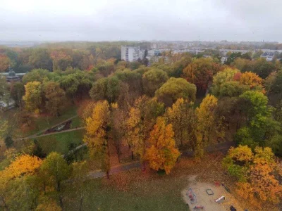 Apartment. Ivan Vykhovs Street, Lviv