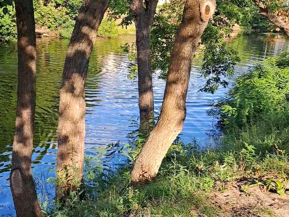 Таунхаус. Київ, вулиця Алімпія Галика