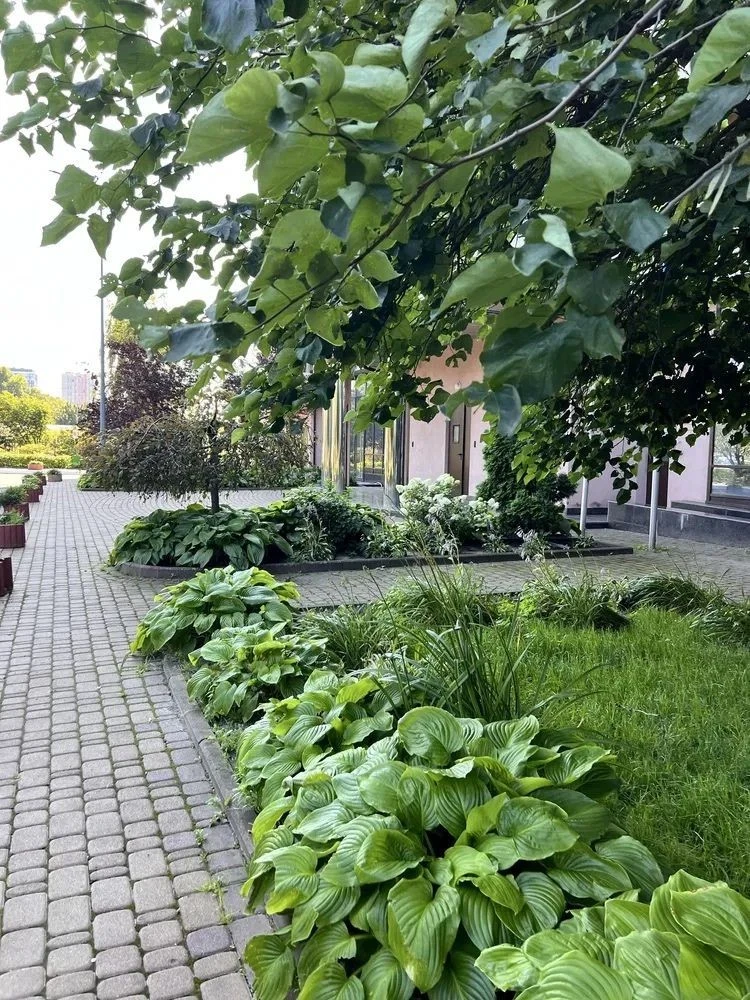 Rent a modern 1-bedroom apartment in the "Cosmopolitan" residential complex, Degt