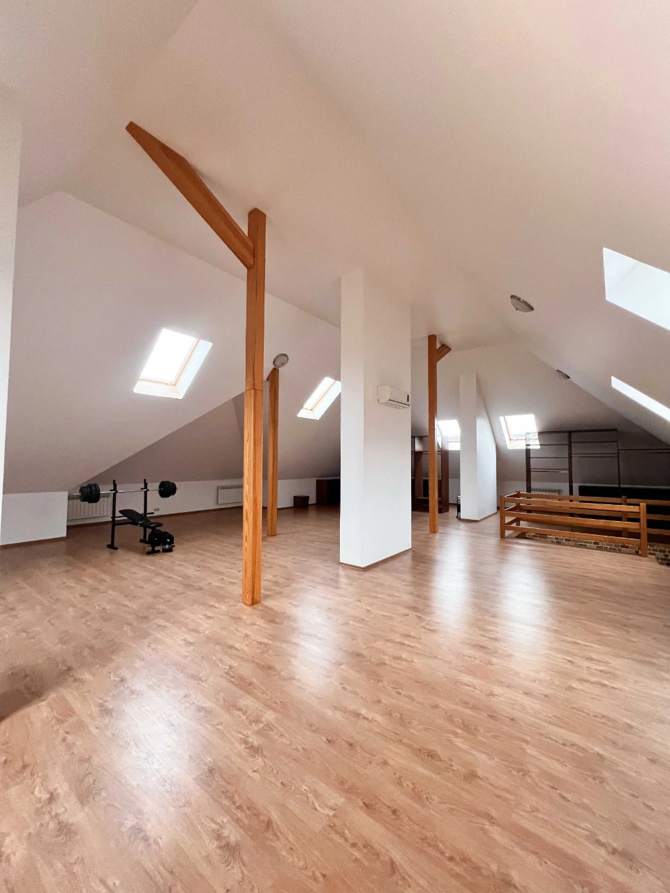 Rent a house in Kyiv, Holosiievo