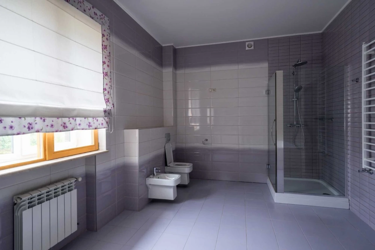 Rent a house in Kyiv, Holosiievo