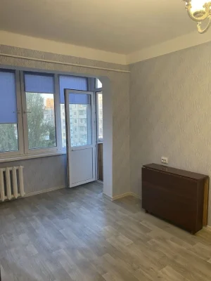 Rent one-bedroom warm and bright apartment with fresh renovation