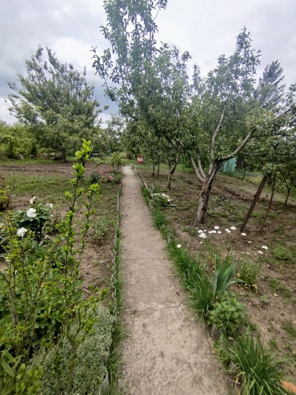 Продається дача