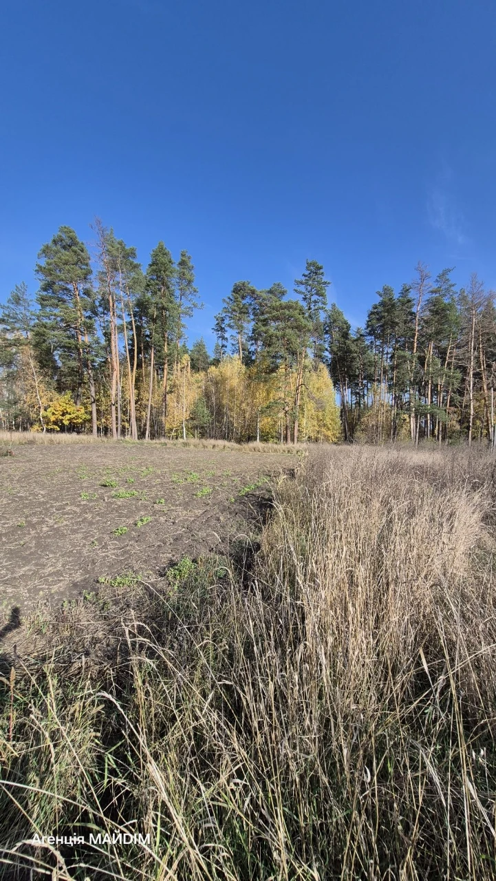 House for Sale in Lebedyn