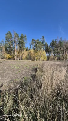 House for Sale in Lebedyn