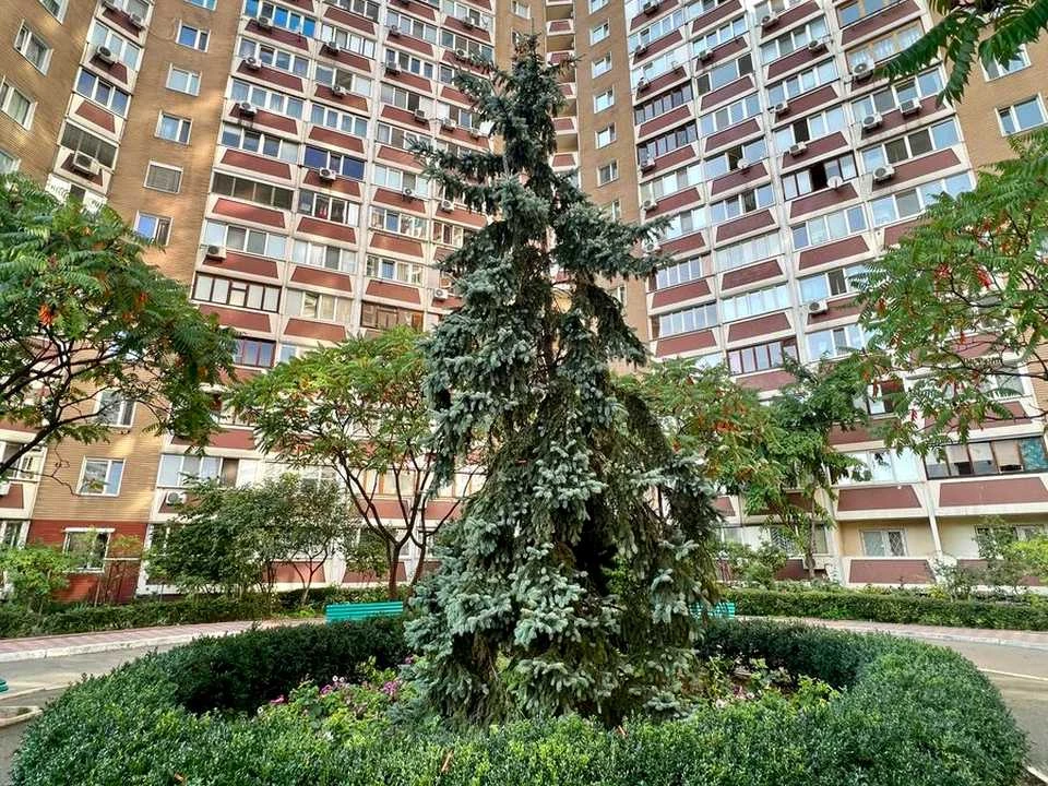 Apartment. Mykhailo Bazhan Avenue, Kyiv