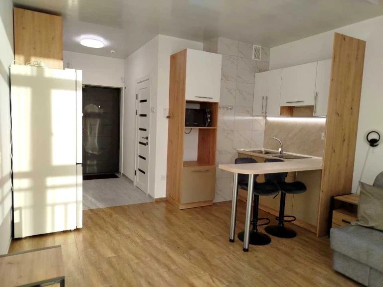 Apartment. Kyiv, Valeriana Pidmogilnogo st.