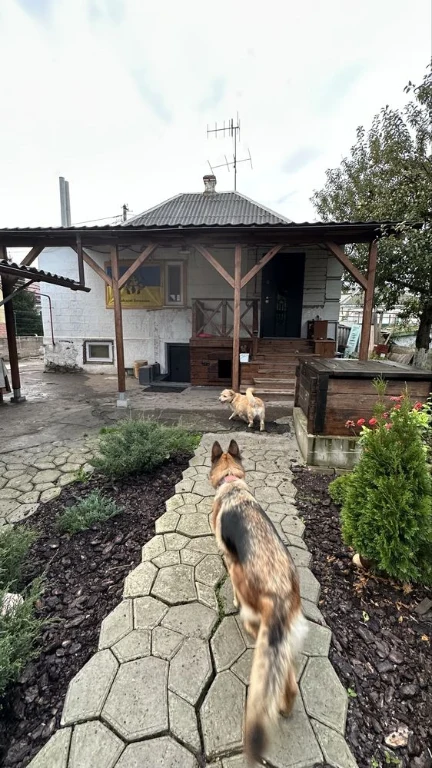 Будинок. Дніпро. Діївка 2