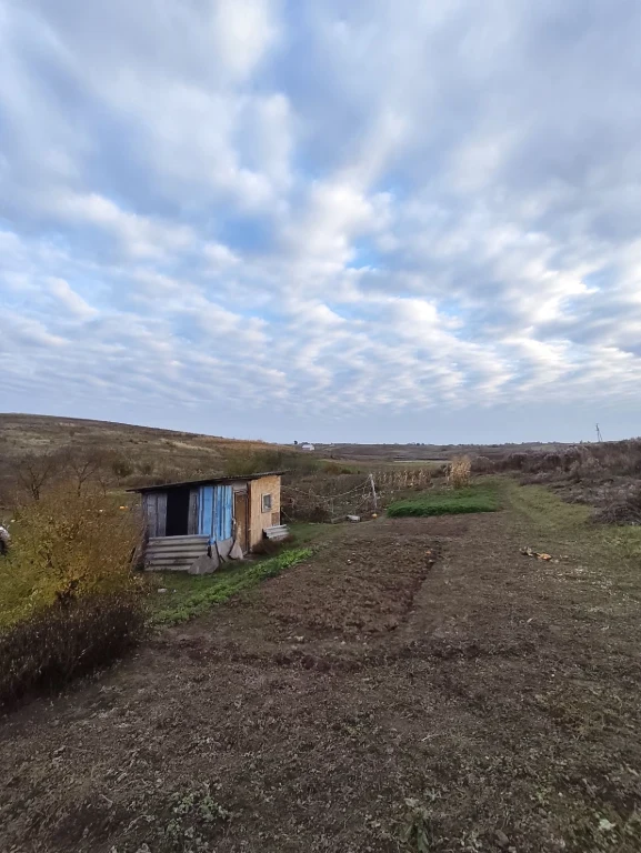 Land for sale in Malo Zhitino