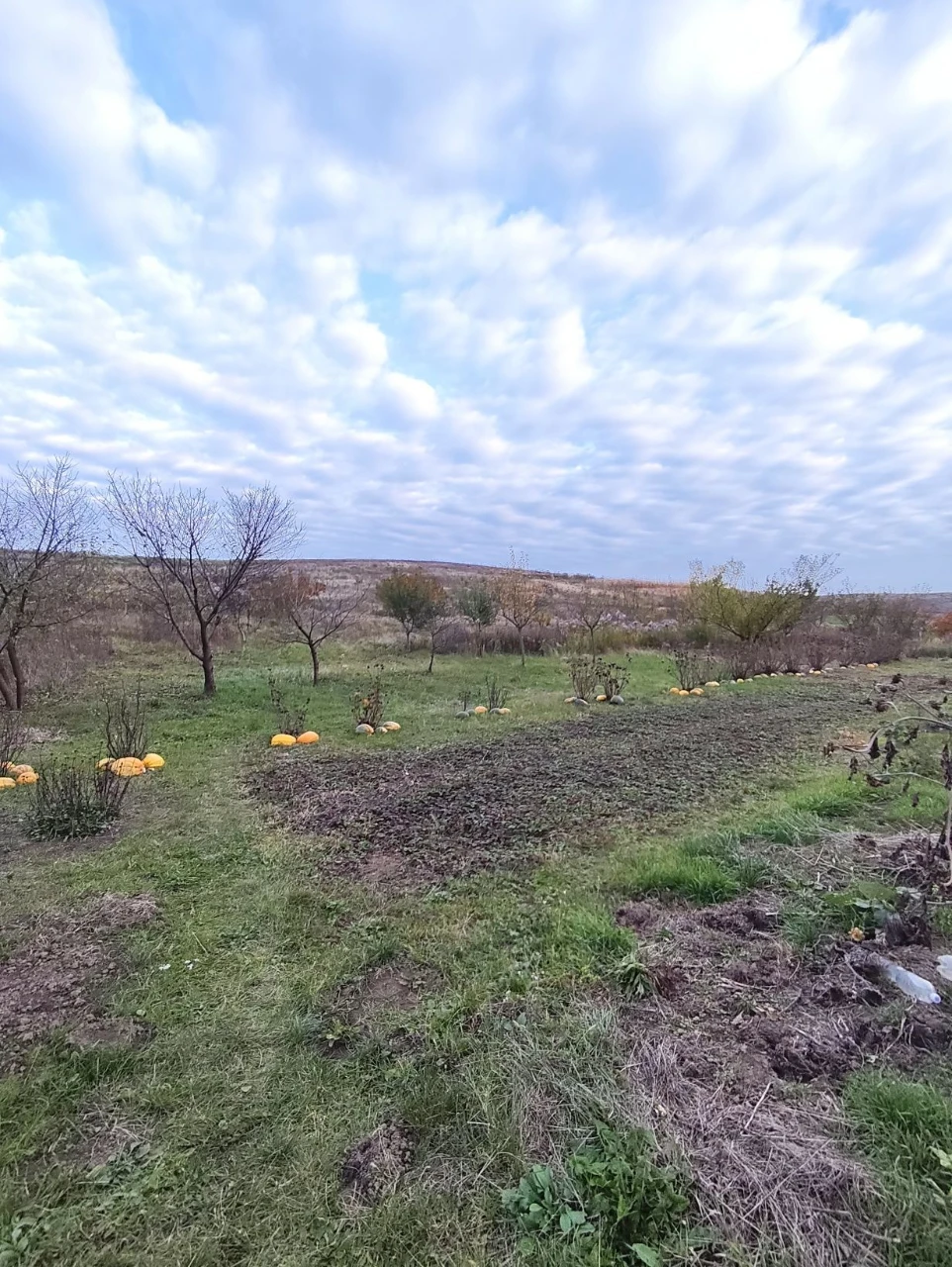 Продається земельна ділянка в Малому Житині