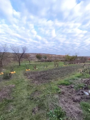 Продається земельна ділянка в Малому Житині