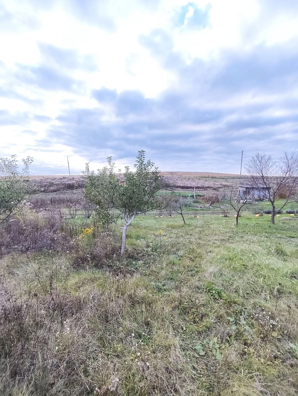 Продається земельна ділянка в Малому Житині
