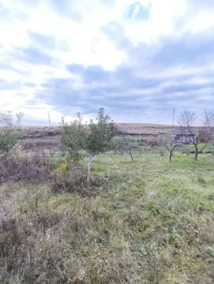 Продається земельна ділянка в Малому Житині