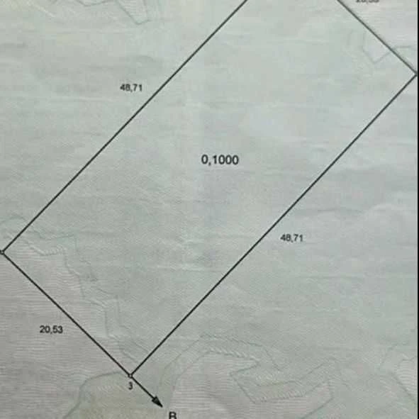 Лісові Гринівці земельна ділянка