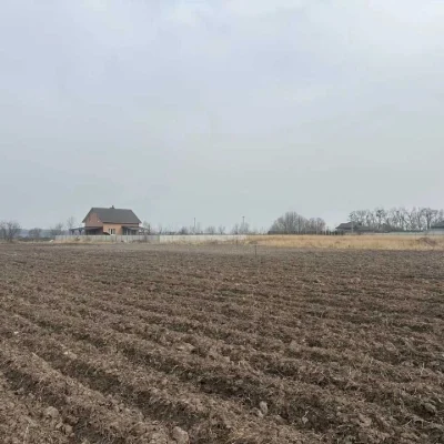 Лісові Гринівці земельна ділянка