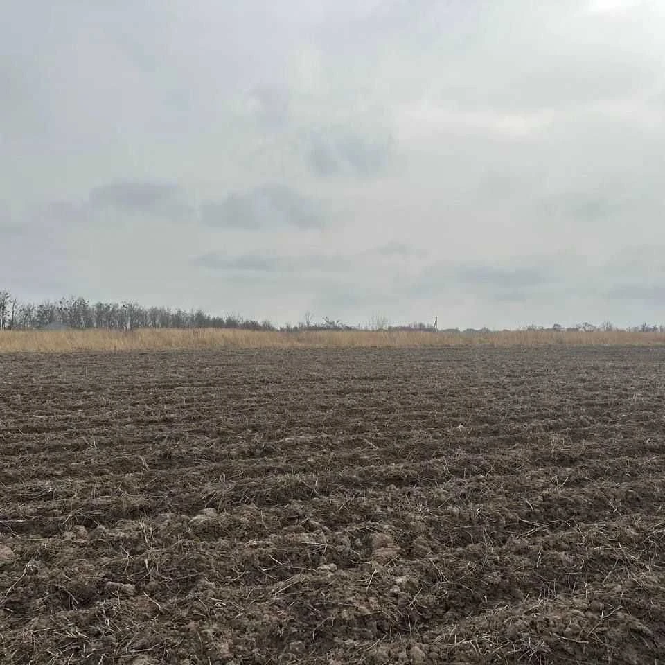 Лісові Гринівці земельна ділянка