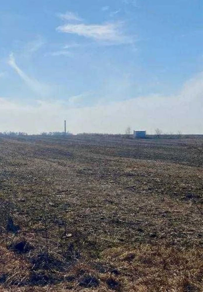 Лісові Гринівці земельна ділянка
