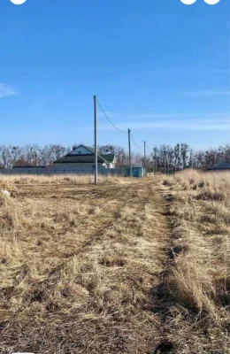 Лісові Гринівці земельна ділянка