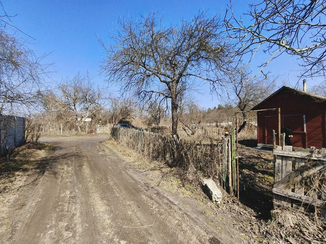 For Sale: Private Cottage in Proletarian Grove, near Lake Z