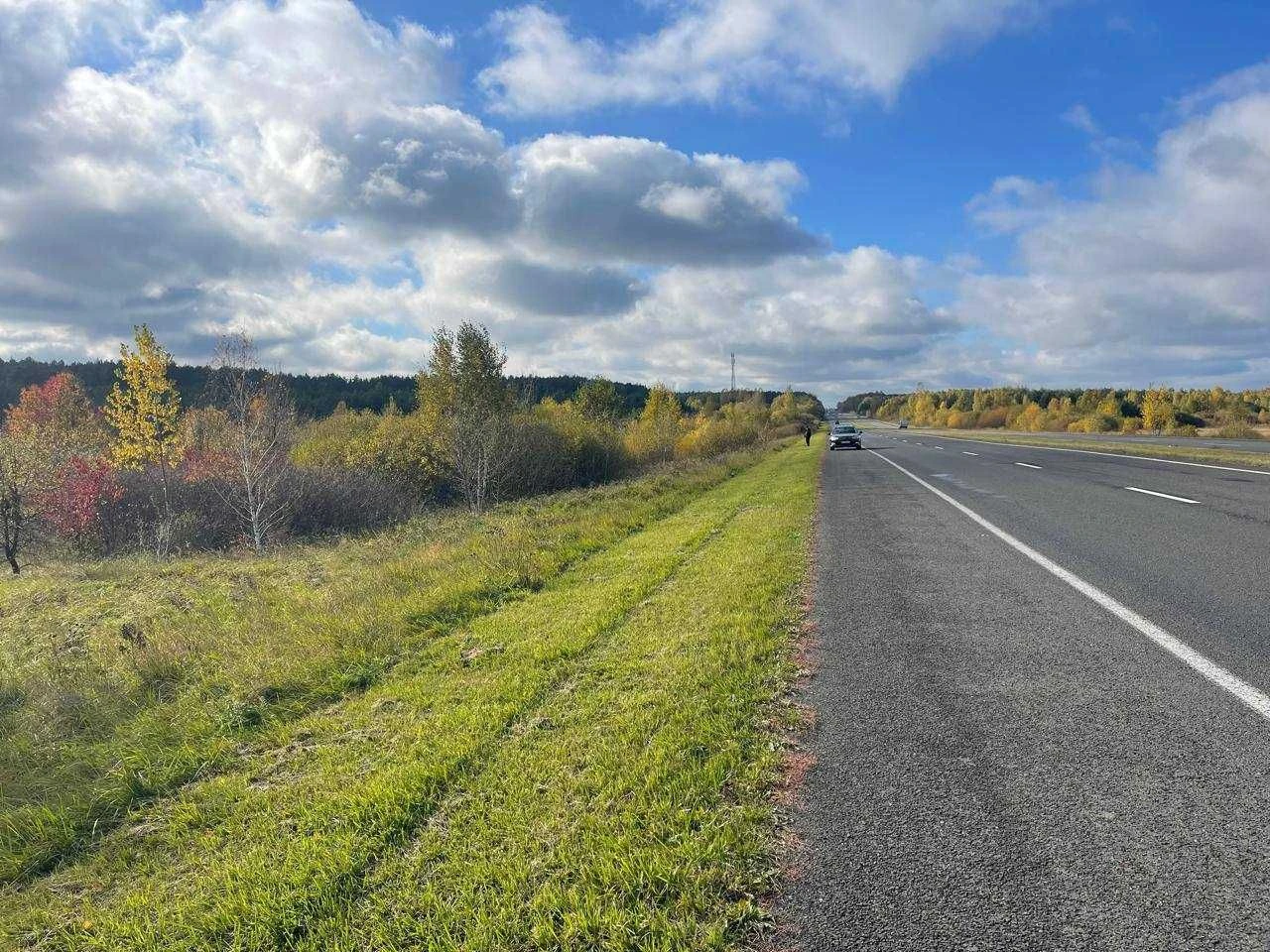 Land for sale: 10 hectares.