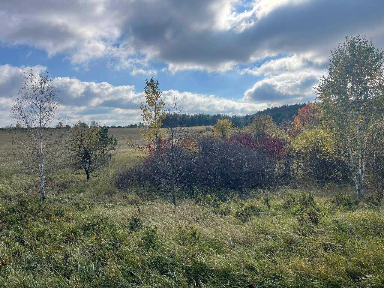 Land for sale: 10 hectares.