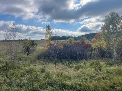 Land for sale: 10 hectares.