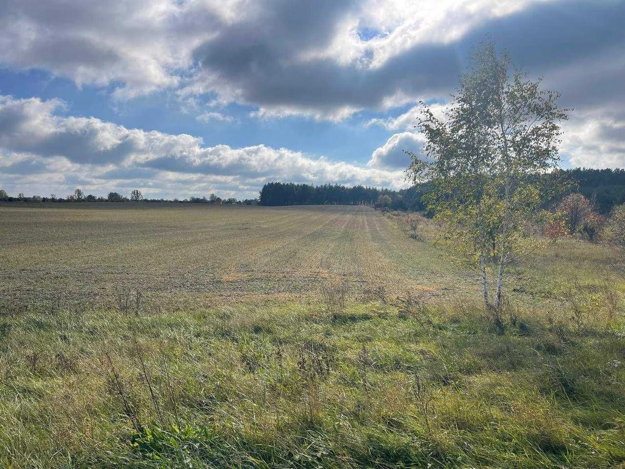 Land for sale: 10 hectares.