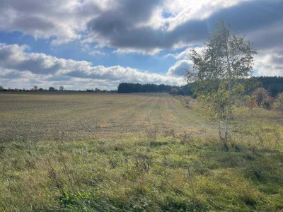 Land for sale: 10 hectares.