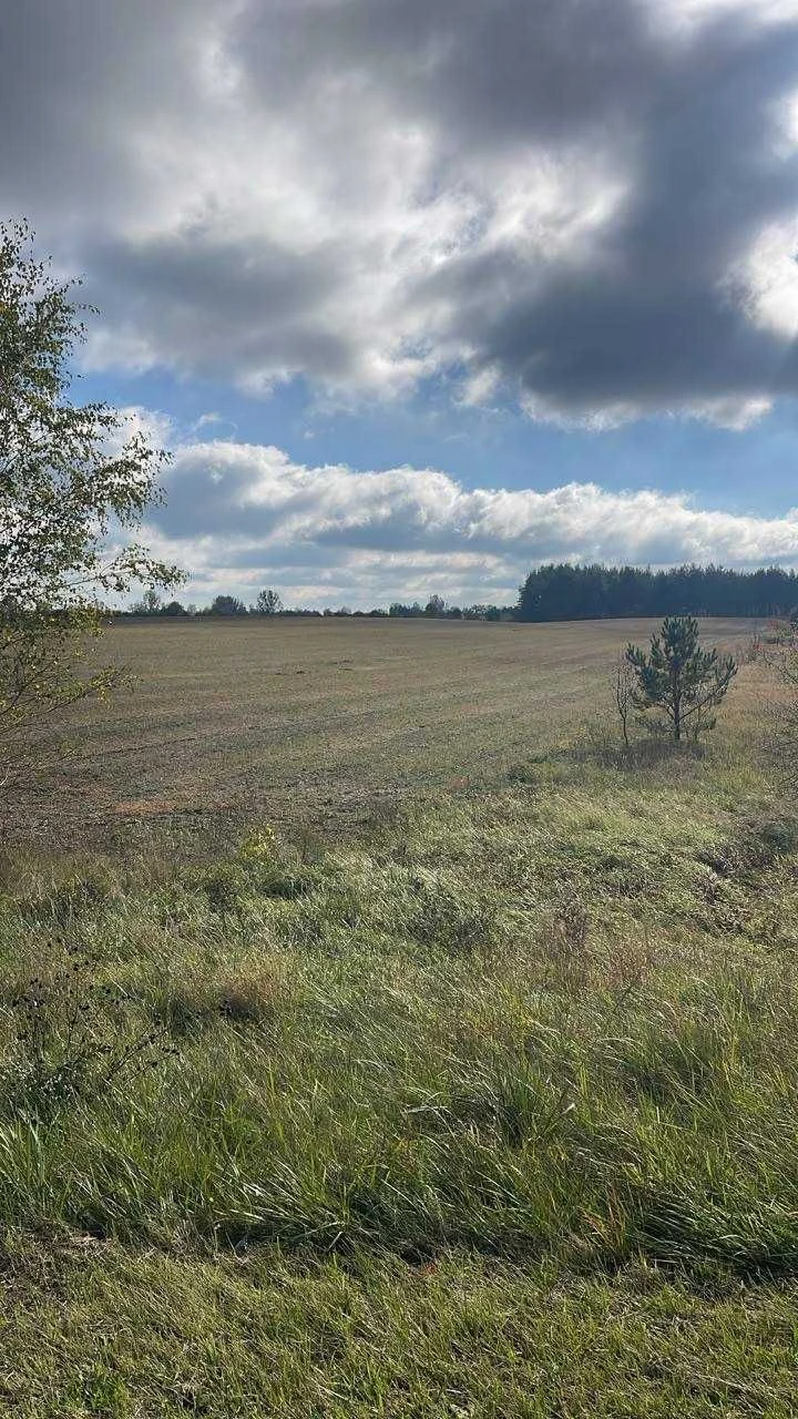 Land for sale: 10 hectares.