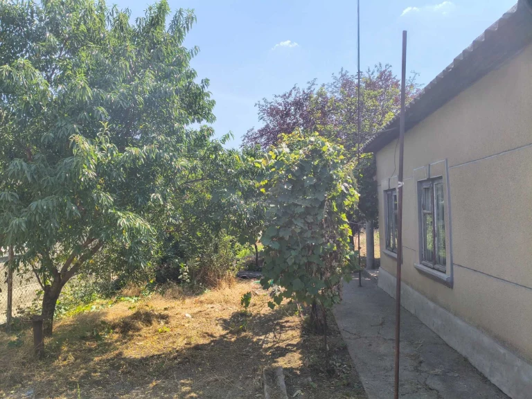 Land sale: 5 acres with old building (without a river)