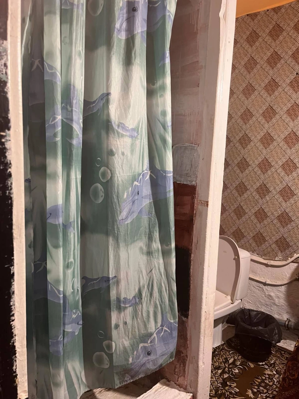 Cheapest room in the dormitory Grechan 47097 R019