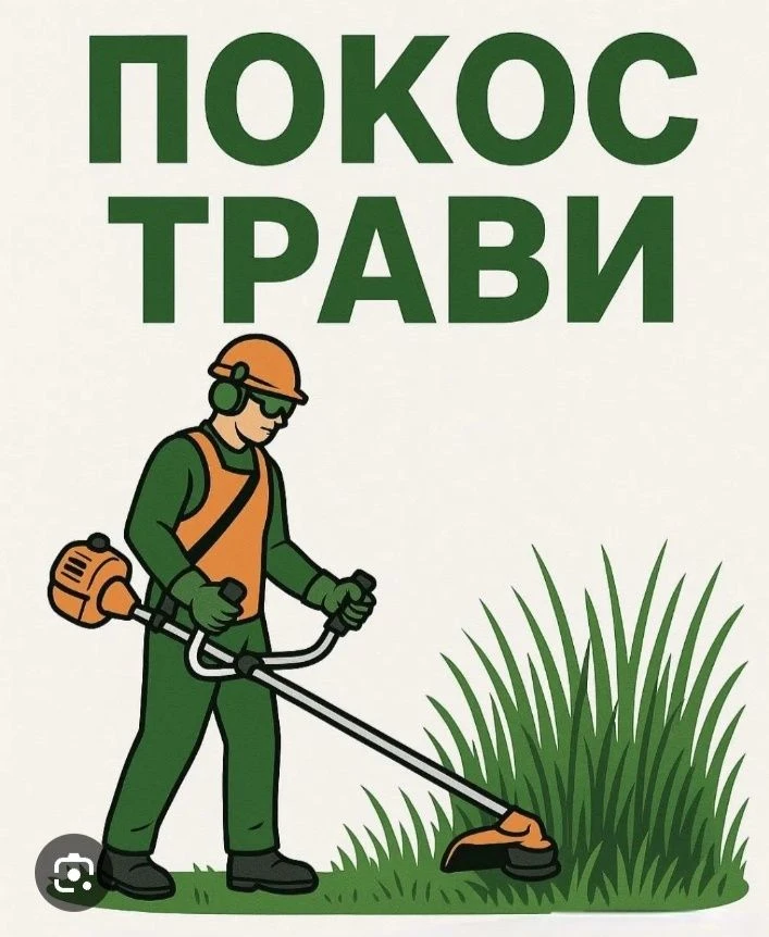 Landscaping Services: Tree Trimming