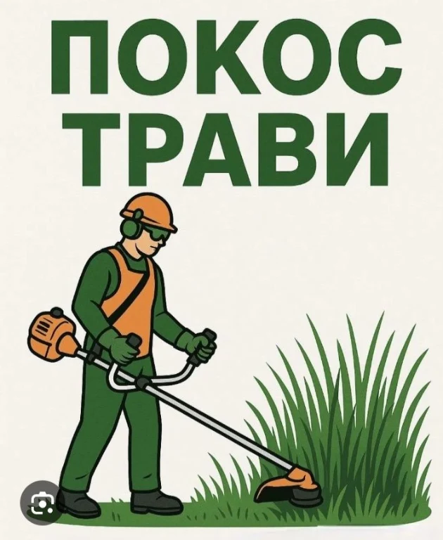 Landscaping Services: Tree Trimming