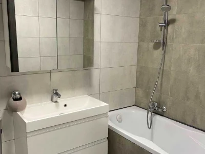 Apartment. Princess Olgi Street, Lviv