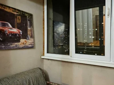 Apartment. Olenych Pchilka Street, Kyiv