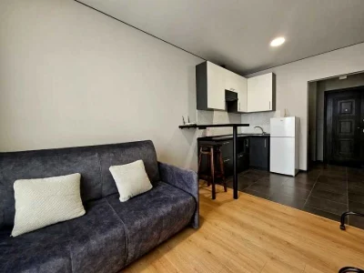 Apartment. Kam'yanska Street, Kyiv