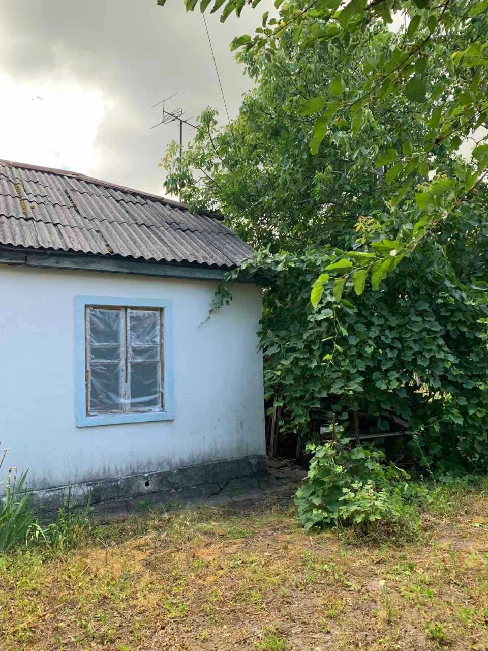 Продаётся дом на улице Сосновского, рассматриваю продажу