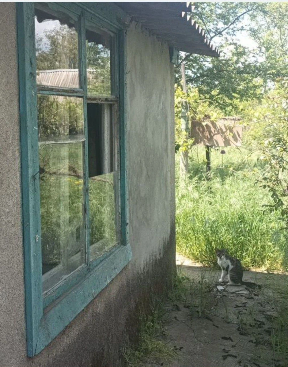 Дача на Толстого-3500 у. е.