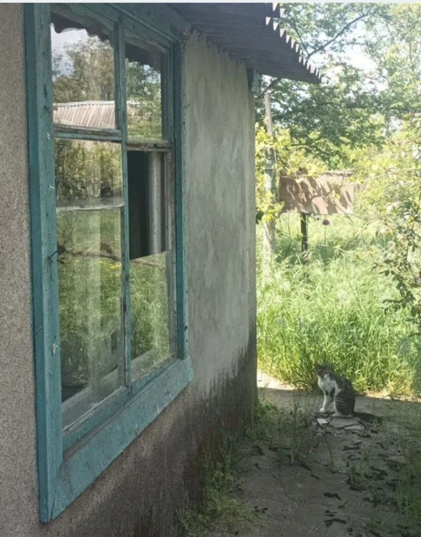 Дача на Толстого-3500 у. е.
