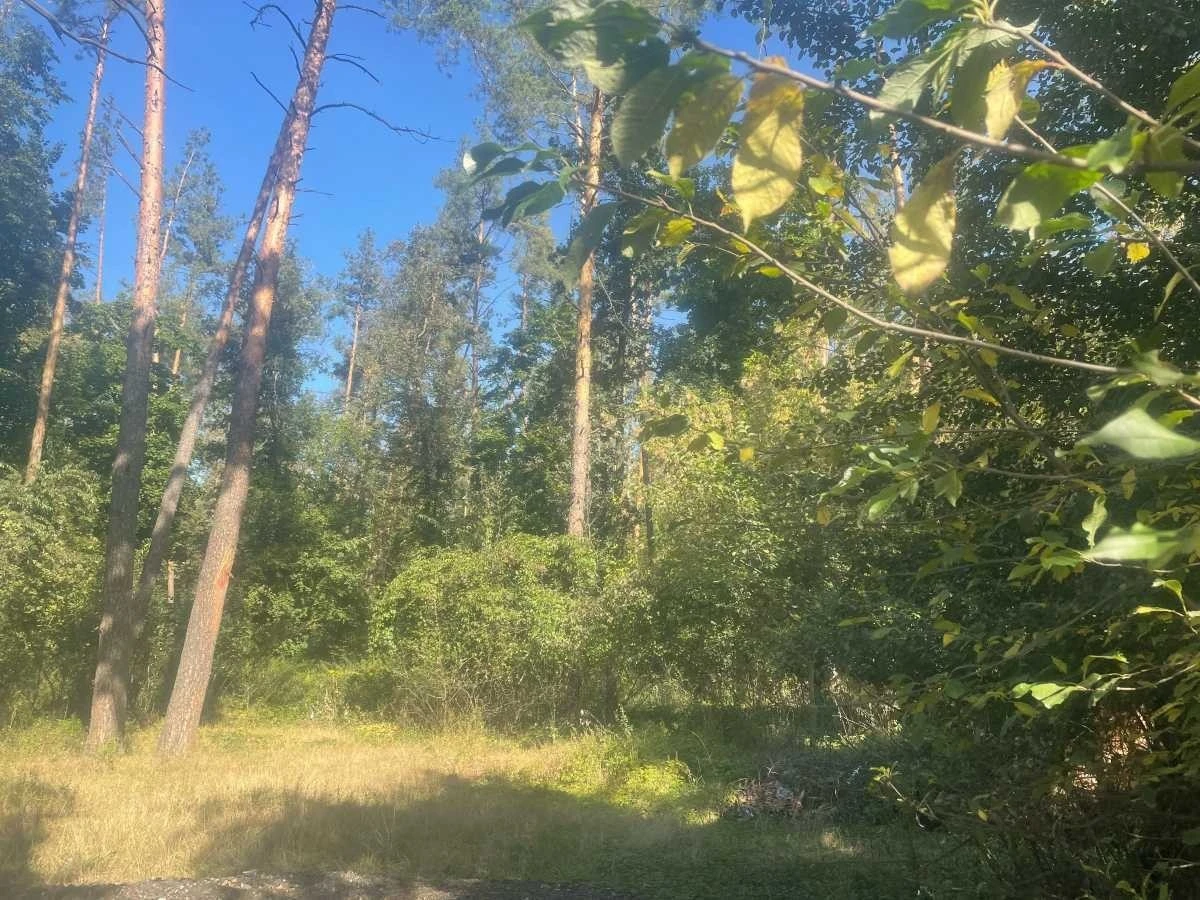 Продажа дома 400 м², Синеозерная ул., 1