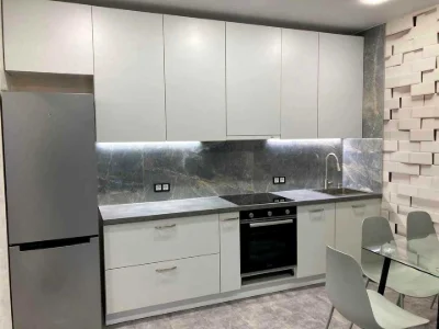 Apartment. Salutna St, Kyiv